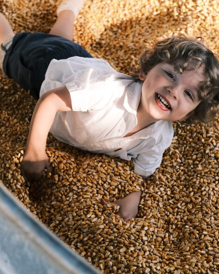 Toddler is smiling while playfully laying in corn
