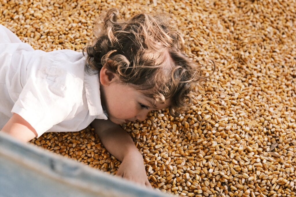 Toddler is laying in a vat of corn